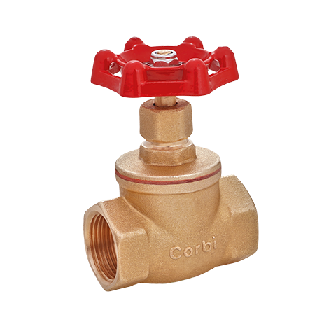 Globe Valve