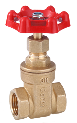 Side image of a corbi gate valve