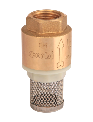 In Line Check Foot Valve