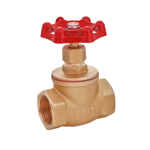 Globe Valve
