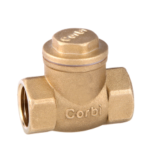 Swing Valve